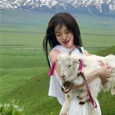 丹青小姐